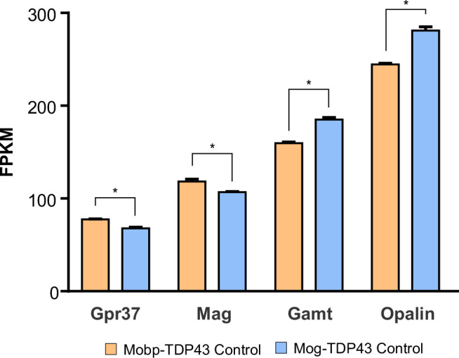 Figure 6—figure supplement 4.