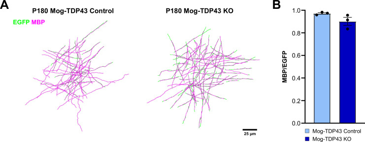 Figure 3—figure supplement 3.