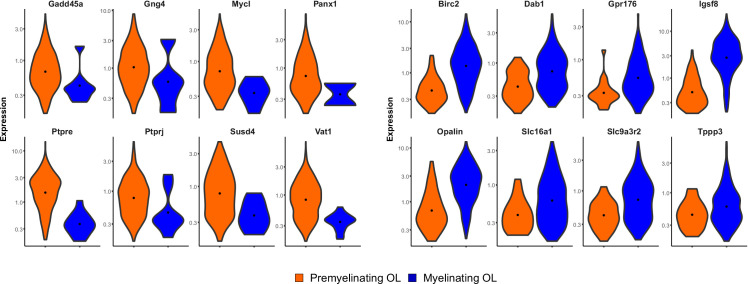 Figure 2—figure supplement 4.