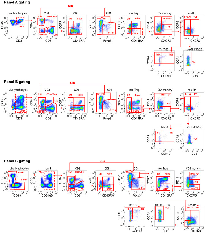 Figure 2