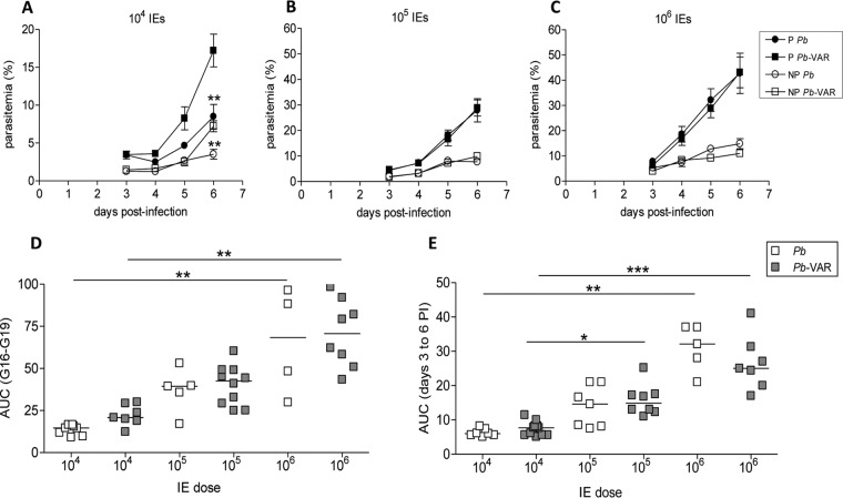 FIG 4