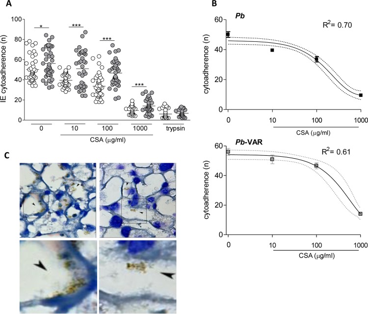 FIG 2