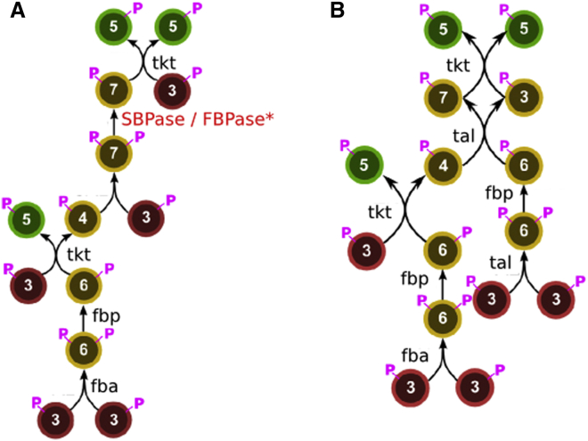 Figure S1