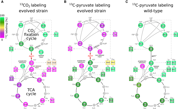 Figure 4