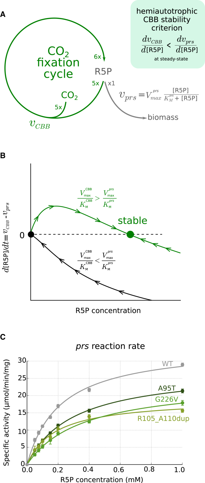 Figure 6