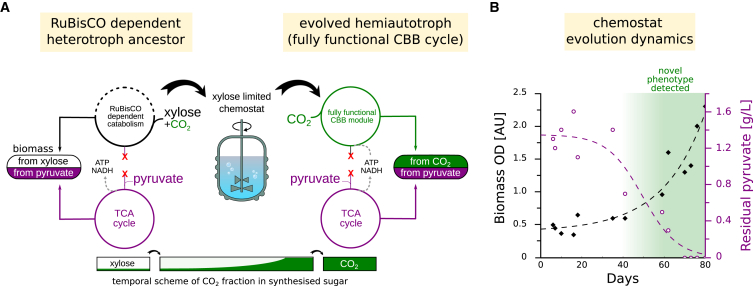 Figure 2