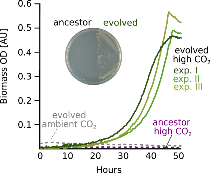 Figure 3