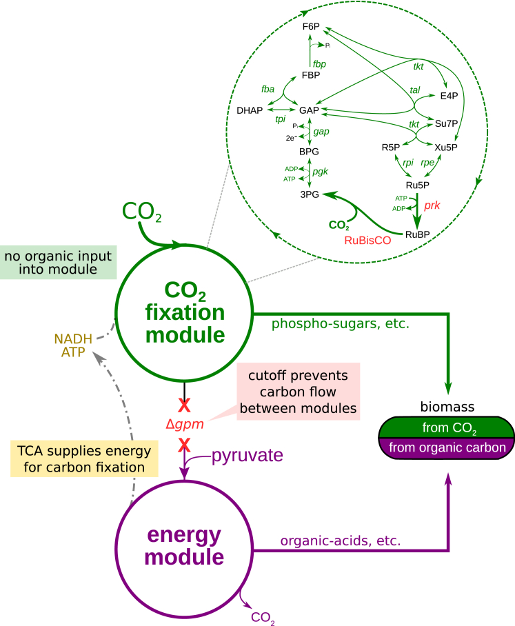 Figure 1