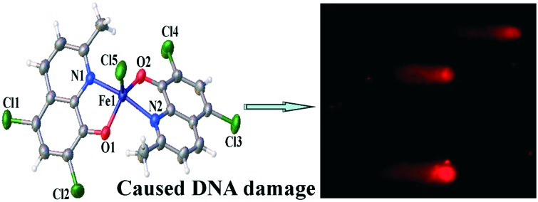 graphic file with name c6md00644b-ga.jpg