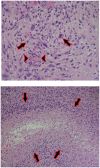 Images 4 and 5.