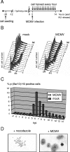 FIG. 2.