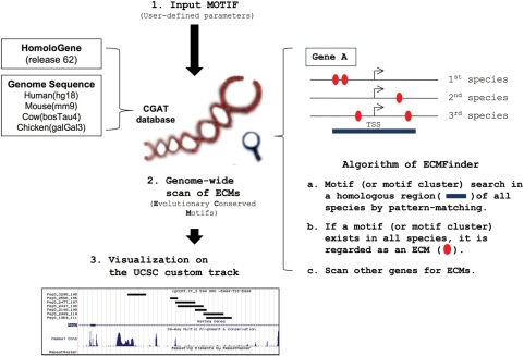 Figure 1.