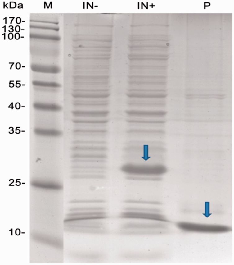 Fig. 6.