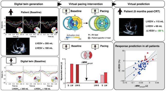 Graphical Abstract