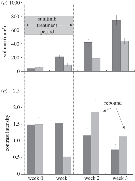 Figure 13.