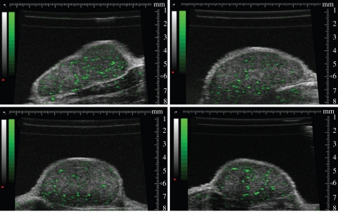 Figure 15.