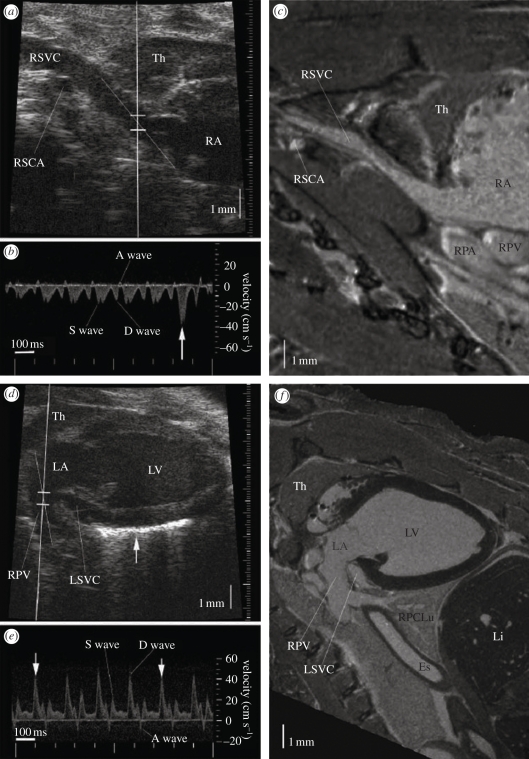 Figure 16.