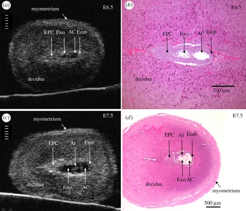 Figure 3.