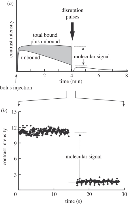 Figure 14.