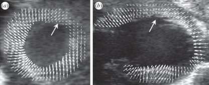 Figure 17.