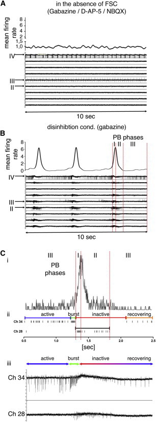 Figure 7