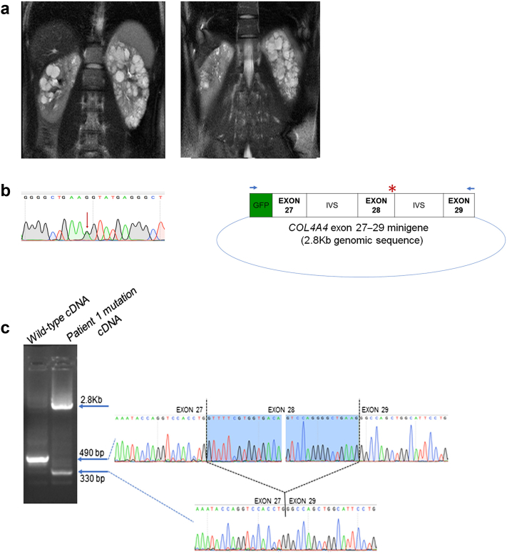 Figure 1