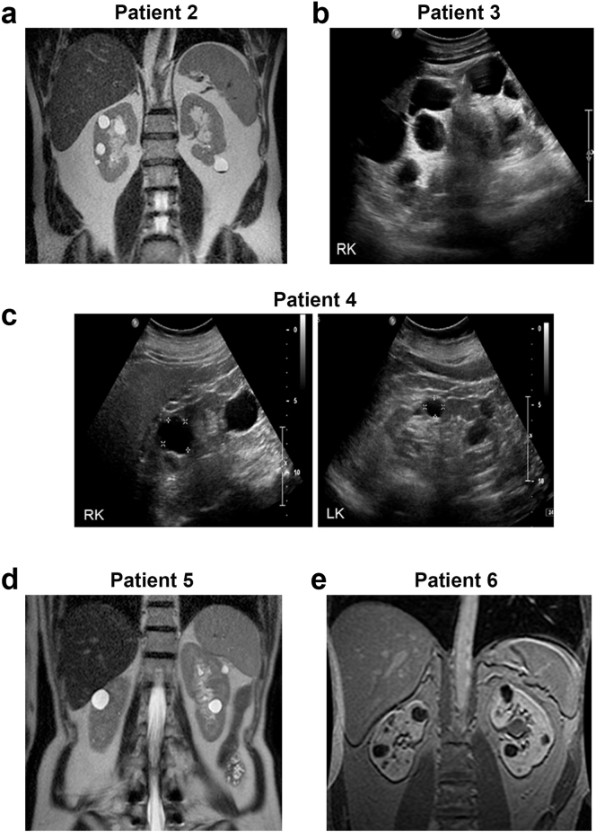 Figure 2