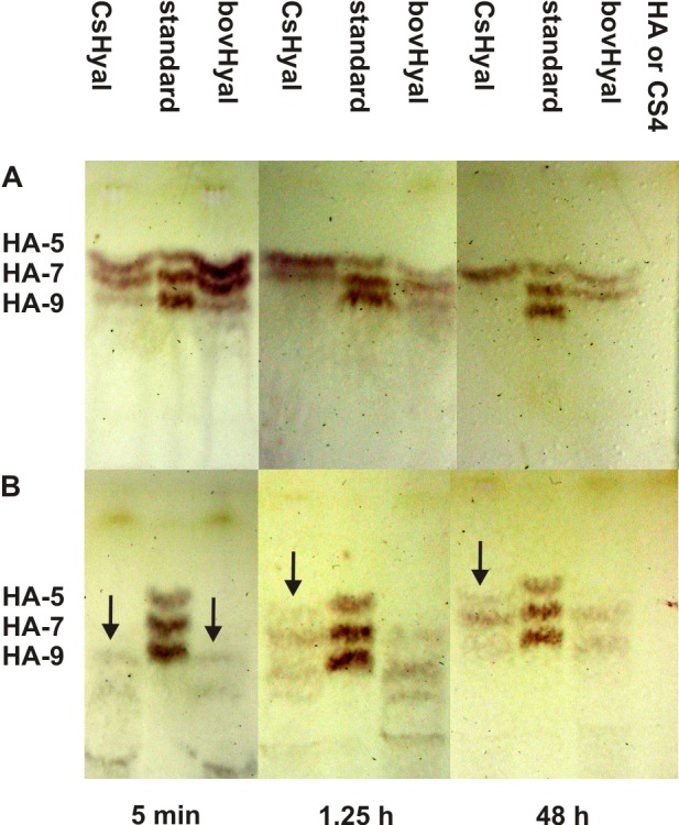 Fig 9