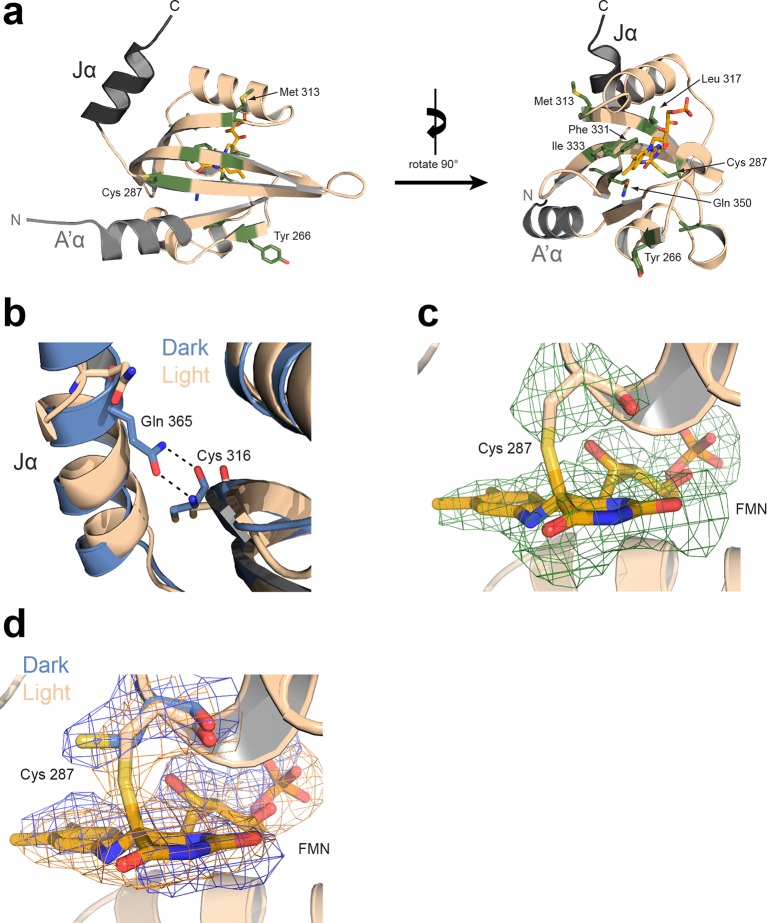 Figure 4—figure supplement 1.