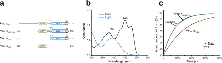 Figure 1.