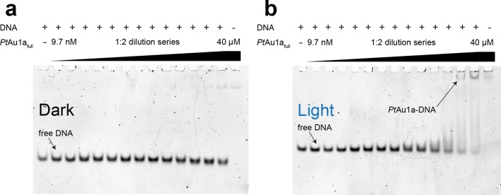 Figure 3—figure supplement 2.