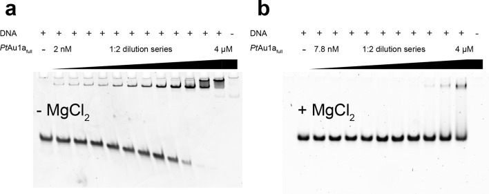 Figure 3—figure supplement 3.