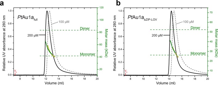 Figure 2—figure supplement 1.