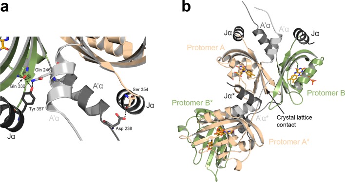 Figure 4—figure supplement 2.