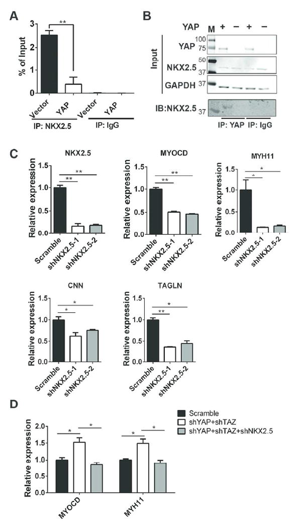 Figure 6