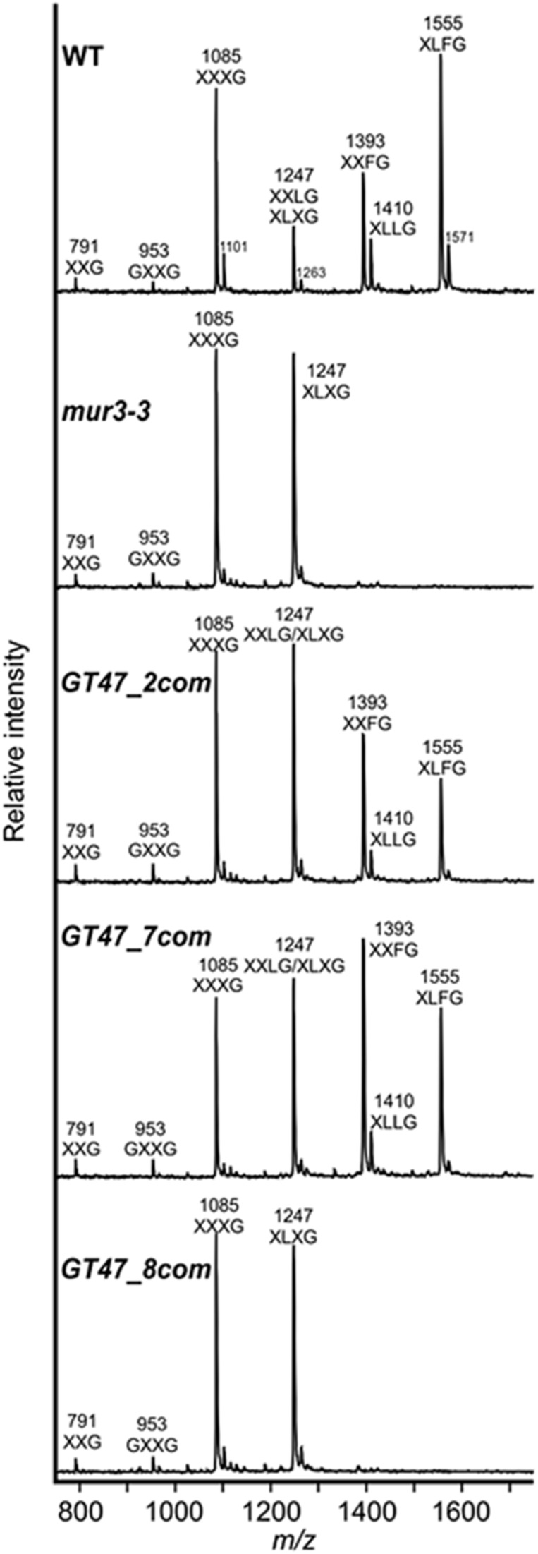 FIGURE 6