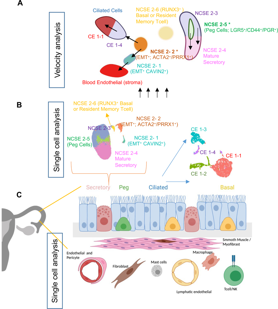 Figure 7: