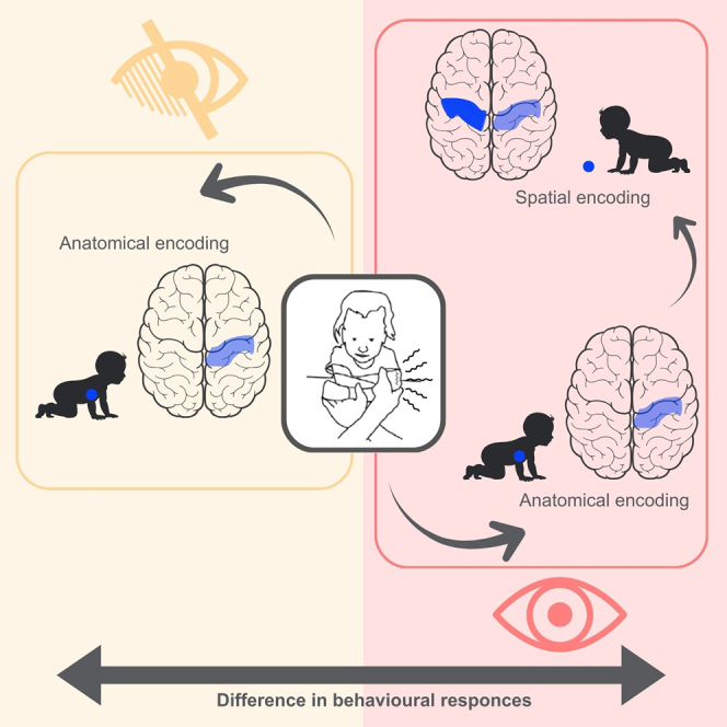 graphic file with name fx1.jpg