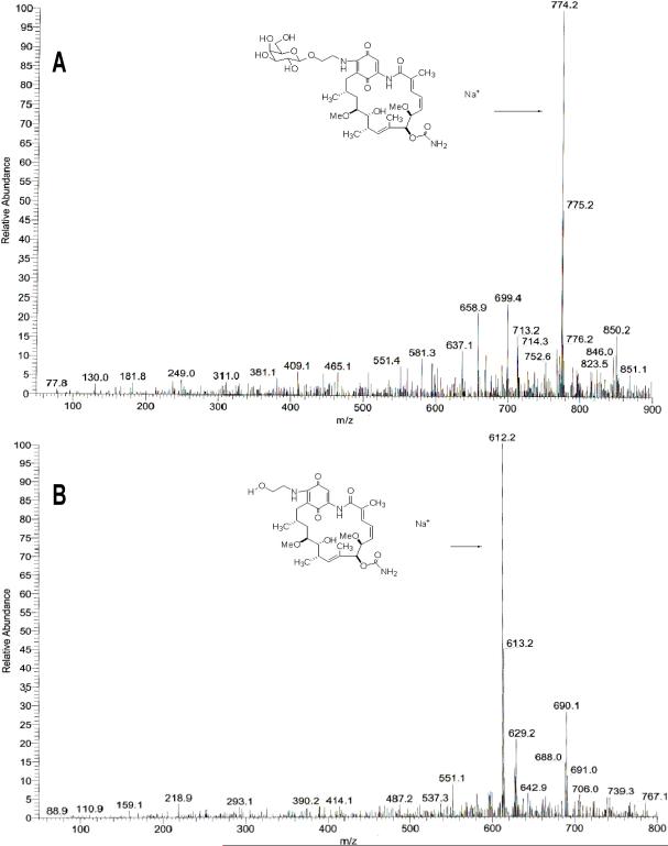 Fig 6