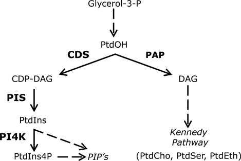 FIGURE 1: