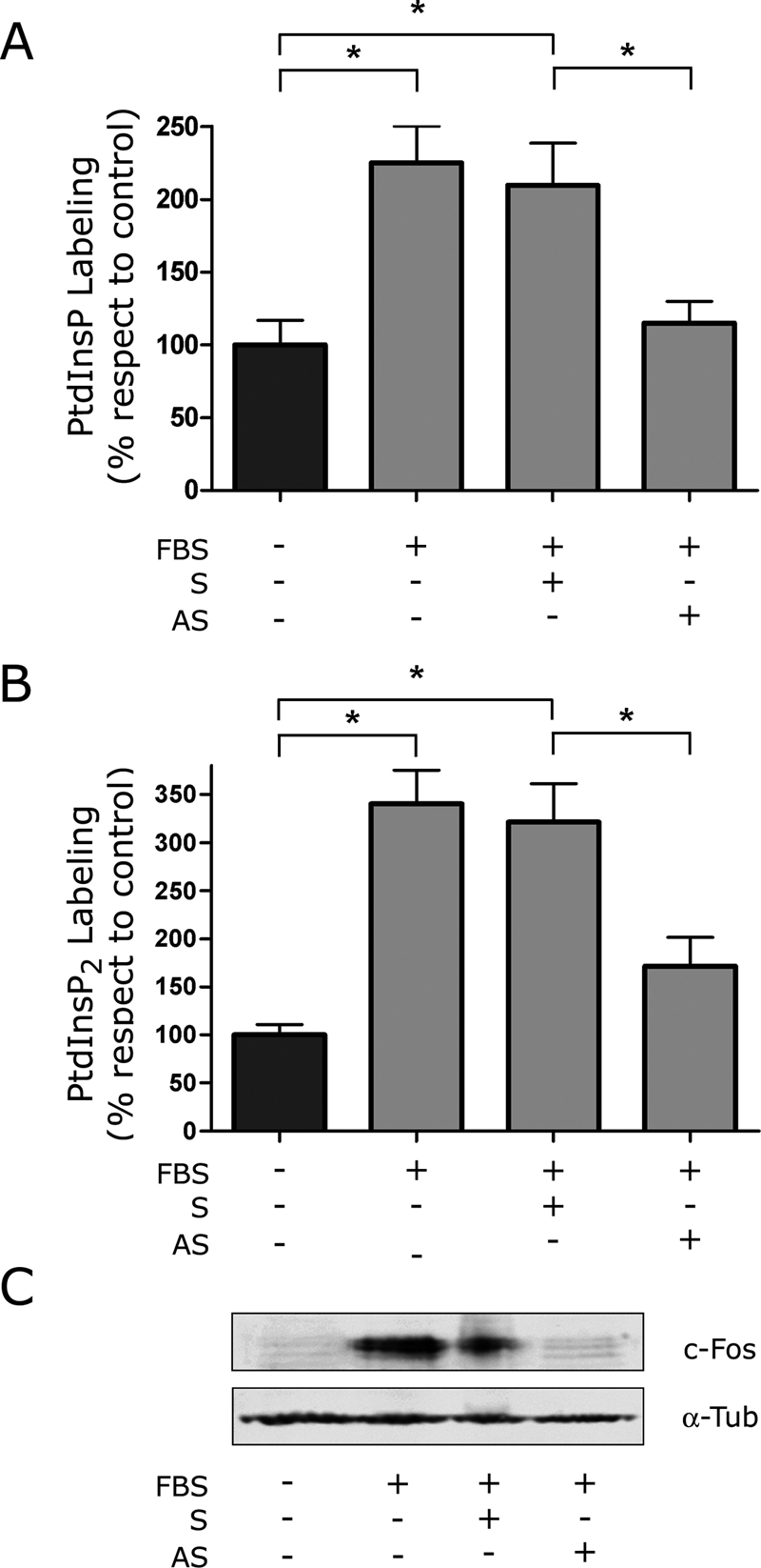 FIGURE 2: