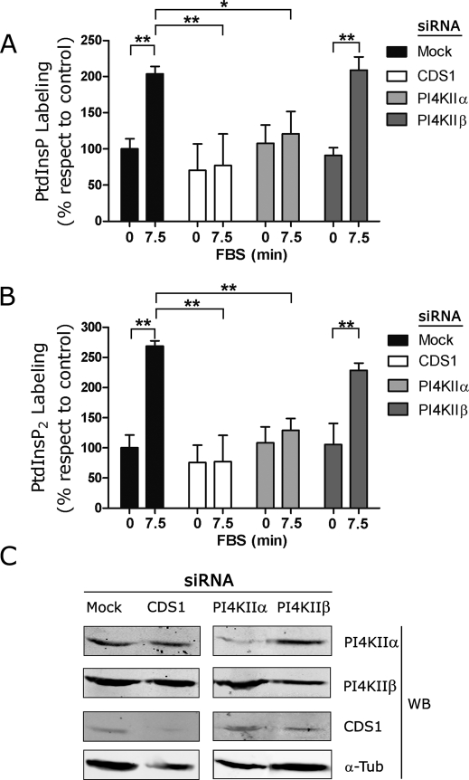 FIGURE 5: