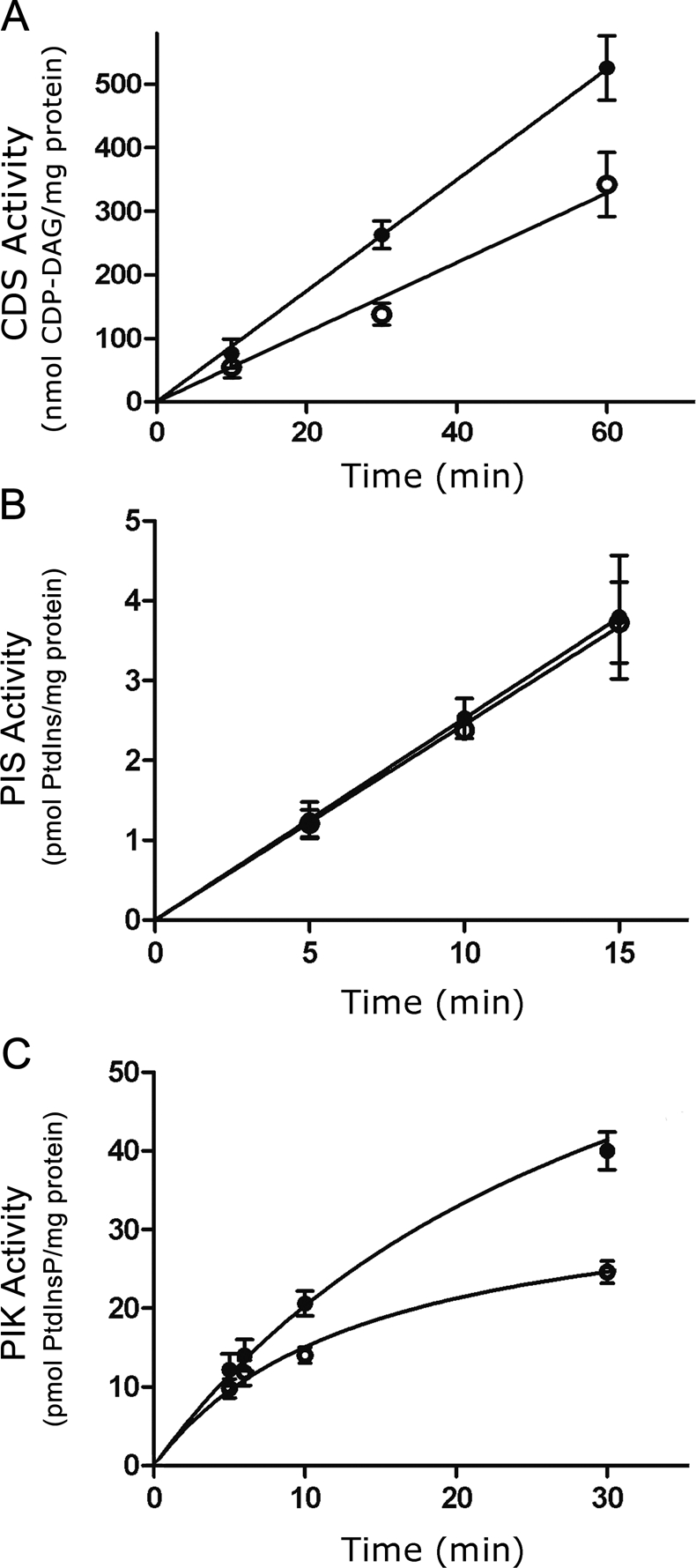 FIGURE 3: