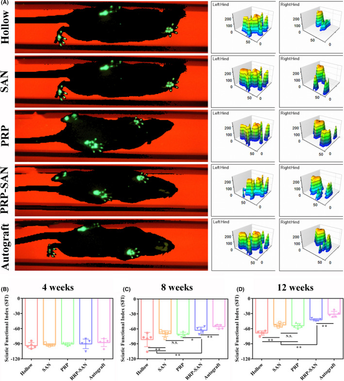 FIGURE 4