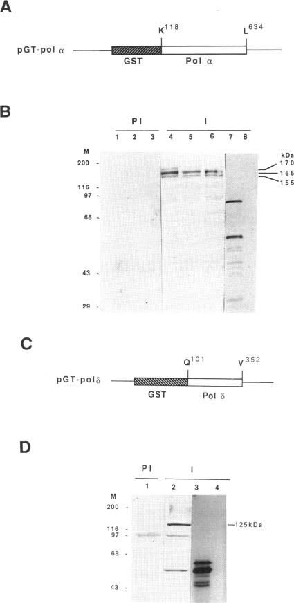 graphic file with name mbc00096-0022-a.jpg