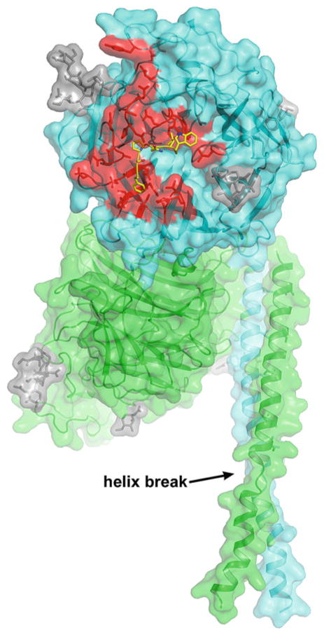 Fig. 1