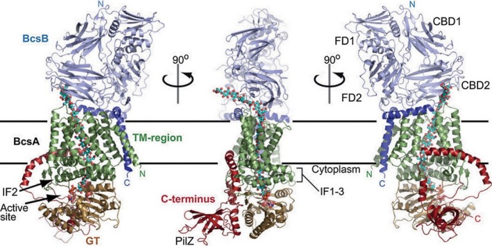 Figure 3