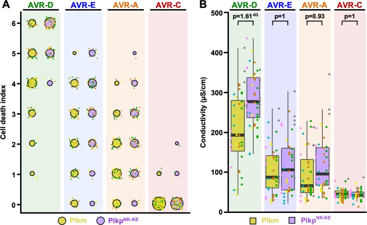 Figure 1—figure supplement 2.