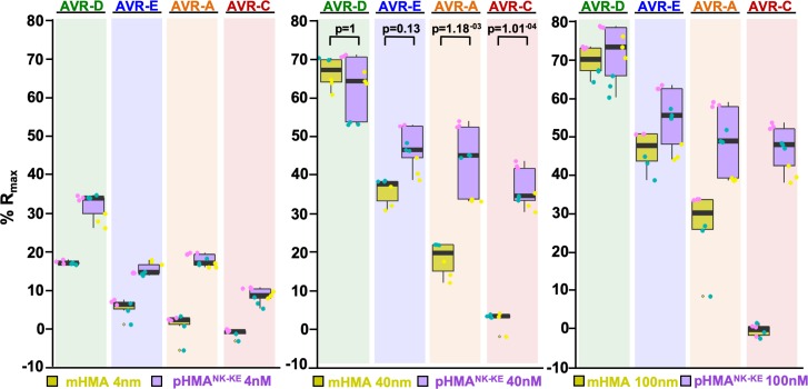 Figure 2—figure supplement 3.