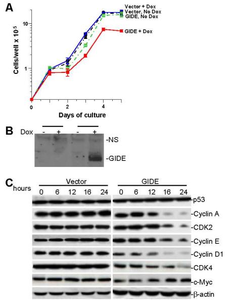 Fig. 6